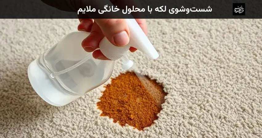 شست‌وشوی لکه با محلول خانگی ملایم