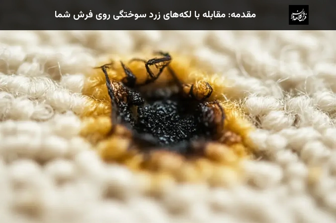 مقدمه: مقابله با لکه‌های زرد سوختگی روی فرش شما