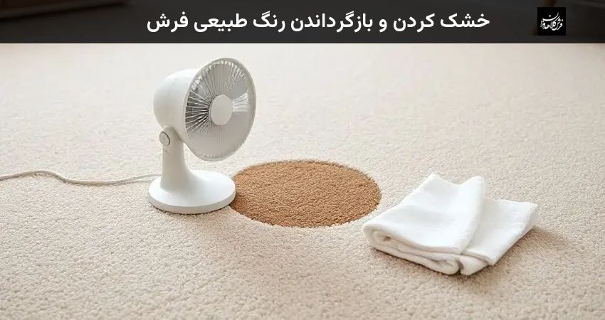 خشک کردن و بازگرداندن رنگ طبیعی فرش