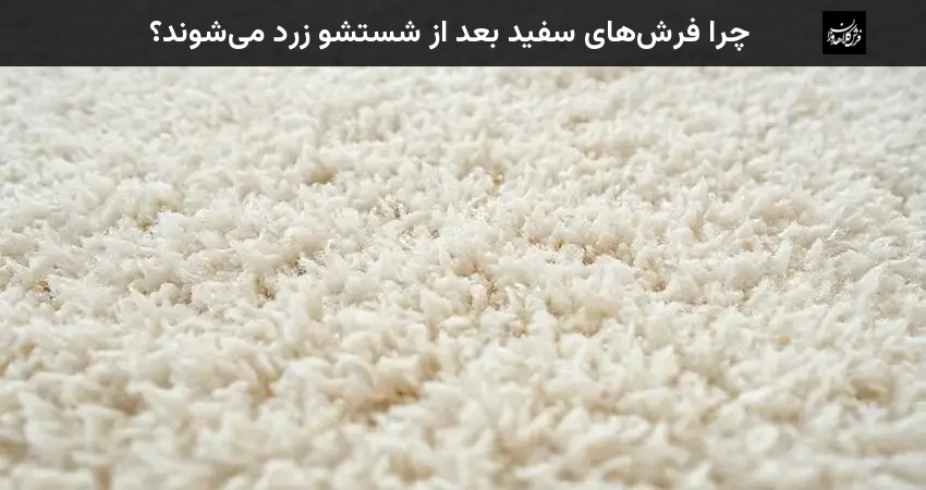 چرا فرش‌های سفید بعد از شستشو زرد می‌شوند؟