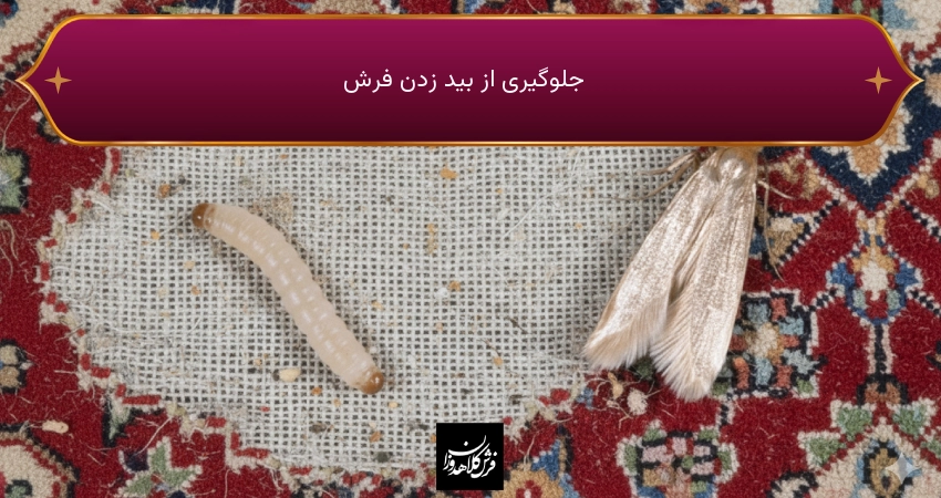 جلوگیری از بید زدن فرش