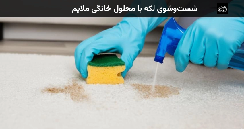شستوشوی لکه با محلول خانگی ملایم