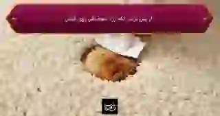 از بین بردن لکه زرد سوختگی روی فرش